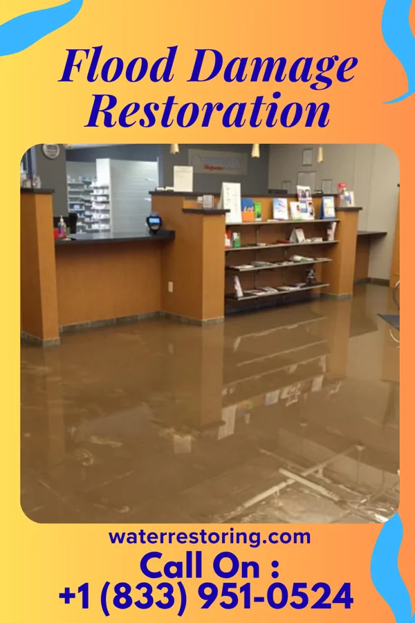 Flood Damage Restoration in Crystal Downs Country Club, MI
