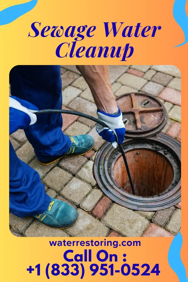 Sewage Water Cleanup in Crystal Downs Country Club, MI