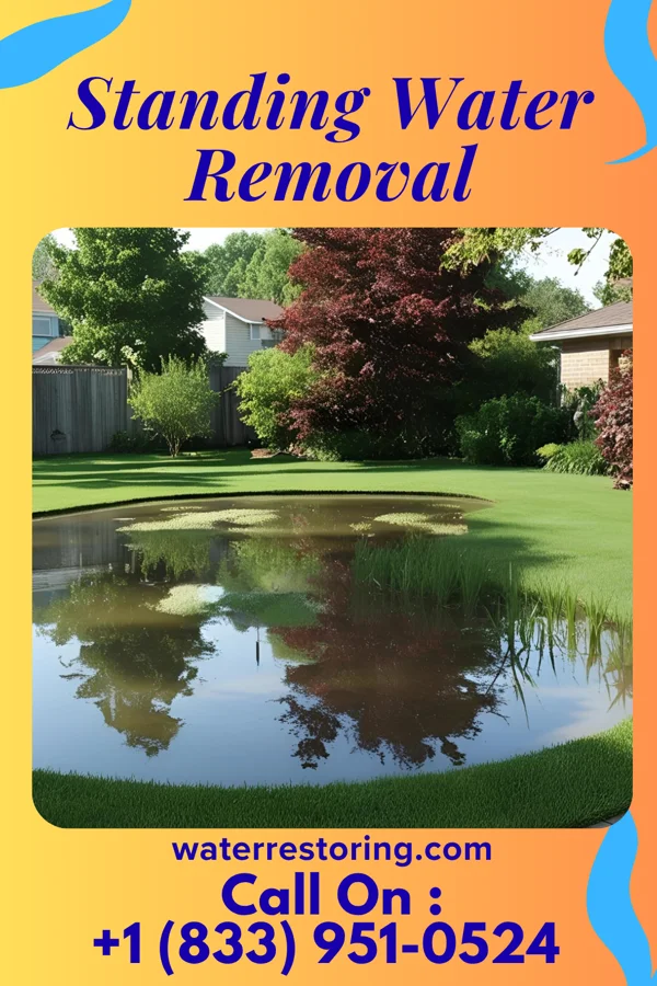 Standing Water Removal in Crystal Downs Country Club, MI